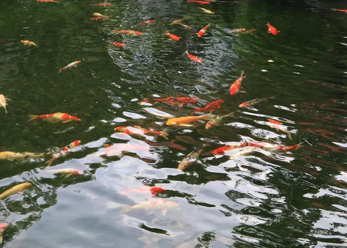 Orestay Garden * Hạ Long